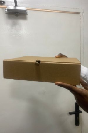 BOX CATERER Box Size 12x10x3 (KRAFT) - 100pcs